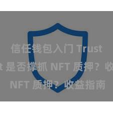 信任钱包入门 Trust Wallet 是否撑抓 NFT 质押？收益指南